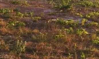 Imagem 2: Venda de um Lote no lago norte