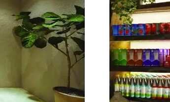 Imagem 4: Apartamentos Tipo Studio, quarto e sala e 2 quartos na praia do Francês