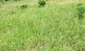 Imagem 2: FAZENDA RURAL em IBIQUERA - BA, CHAPADA DIAMANTINA