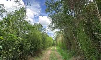 Imagem 5: Ibiuna: Terreno Ideal para Grandes Projetos e Investimentos Lucrativos! Perto da Rota do V