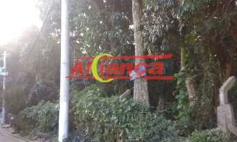 Imagem 3: TERRENO, LOTE COMERCIAL E RESIDENCIAL À VENDA, 1000M², RECREIO SÃO JORGE- GUARULHOS.GRU/SP