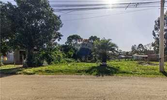 Imagem: Oportunidade Terreno 427m², Bairro São