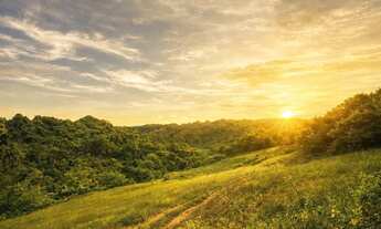 Imagem 4: Poucos terrenos disponíveis em localização privilegiada