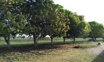 Imagem 4: Vendo ou troco Chácara com venda por R$420.000
