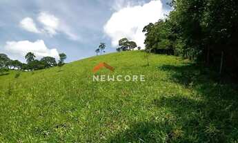 Imagem 6: Lote em estrada das Cerejeiras - Barreiro - Santo Antônio do Pinhal/SP