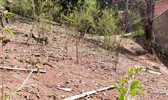 Imagem: Terreno 1000 m 2 no jaguari- sant. De parnaíba