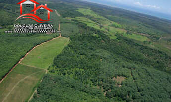 Imagem 3: Fazenda De 4.389ha localizada no Sul da Bahia