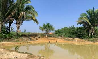 Imagem 7: Chacara (leia anuncio