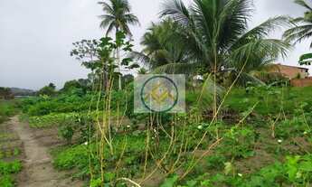 Imagem 3: Chácara à venda com 2,4 ha, Estância/SE