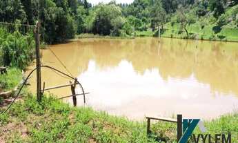 Imagem 6: Excelente área em Ivoturucaia, Jundiaí, com 6,1 alqueires