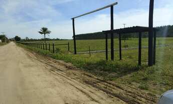 Imagem 6: Sítio à venda, 1250 m² por R$ 39.999,99 - Canta Galo - Alcobaça/BA