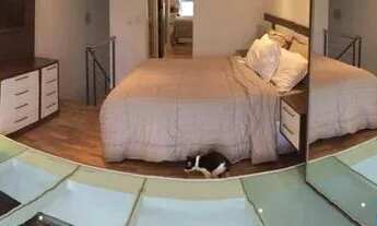 Imagem 6: DUPLEX - VILA MARIANA - SP