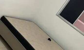 Imagem 4: 1 andar sombra alamedas jardins