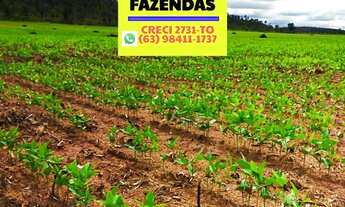 Imagem 6: Fazenda plantando região central Tocantins saindo a 84 mil por alqueires