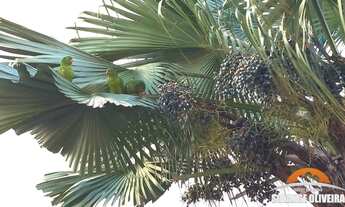 Imagem 3: 2 Dormitórios, 1 vaga Residencial São Francisco II