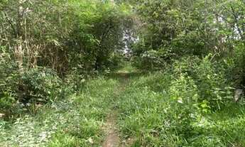 Imagem 2: Chácara dentro de Aparecida de Goiânia com água