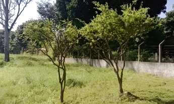 Imagem 7: Chácara de 10 hectares com Casa Sede de 350m² à Venda na BR 343 sentido Altos-PI