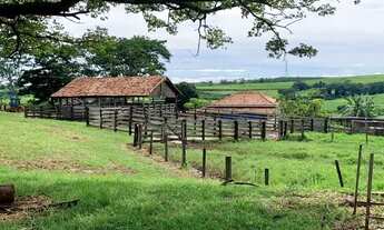 Imagem 3: Sitio de 12 alqueires com ótimo acesso