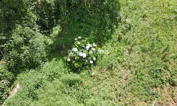 Imagem 6: Lote de Terreno de Oportunidade à Venda na Região de Abernéssia - Campos do Jordão/SP