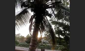 Imagem 6: Alugo casa no bairro Alice maia