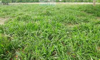 Imagem 7: Fazenda excelente para Exposiçao Entre Jangada e Varzea Grande