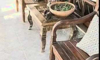 Imagem 3: Casa para alugar