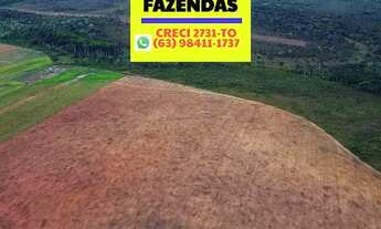 Imagem 7: Fazenda plantando região central Tocantins saindo a 84 mil por alqueires