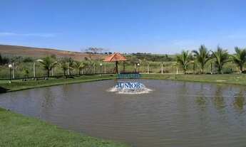 Imagem 4: LIMEIRA - Chácara - CENTRO