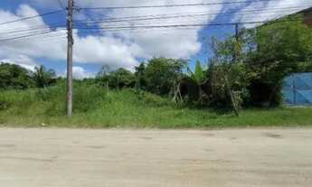 Imagem 4: Terreno a venda na praia com 600 m², em Itanhaém/SP