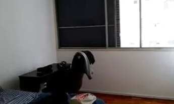 Imagem 5: Apartamento para Venda com 110m² - Cerqueira Cesar - São Paulo