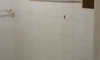 Imagem 3: Vendo 2 Apartamentos Rio Comprido - 1 quarto