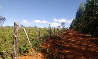 Imagem: Fazenda de 74,5 hectares para eucalipto