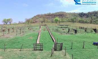 Imagem 3: Fazenda em Gurinhatã - MG com 137,94 hectares, ou seja 28,50 alqueires