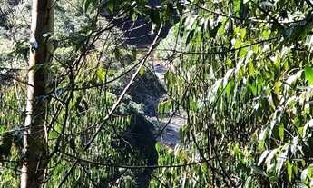 Imagem 5: LINDO REFÚGIO NA SERRA R$111.000 Água de nascente, luz e internet