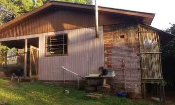 Imagem 6: Chácara com casa bastante sombra