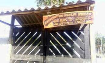 Imagem 6: Chácara com árvores frutíferas, apenas 135mil