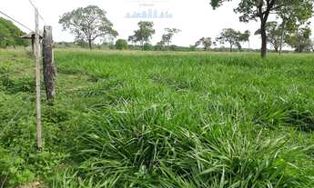 Imagem 5: Fazenda excelente para Exposiçao Entre Jangada e Varzea Grande