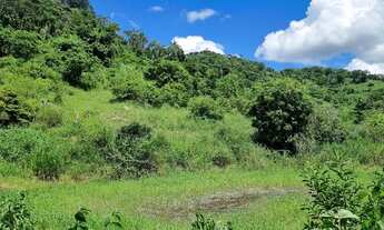 Imagem 5: FAZENDA A VENDA JOANESIA