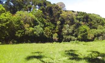 Imagem 5: Sítio no bairro Juá em São Francisco de Paula!