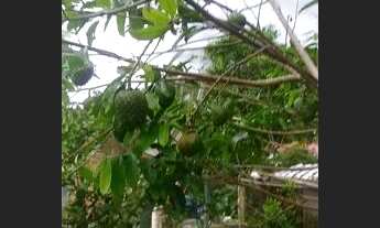 Imagem 7: Vendo ou Troco Casa no Jordão