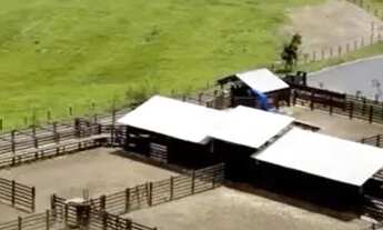 Imagem 5: Fazenda à Venda, 246 alqueires em Pirenópolis - GO