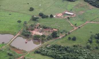 Imagem 2: Fazenda 20 alqueires no Rio Turvo