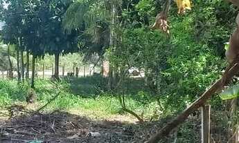 Imagem 5: Vendo esse lindo terreno na AM 070 / 7 minutos do miriti