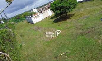 Imagem 6: Terreno à venda, 8607 m² por R$ 1.500.000,00 - Sítio Leal - São Luís/MA