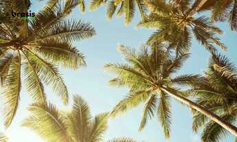 Imagem 6: Maravilhoso Flat com 1 dormitório à venda, 27 m² por R$ 560.000 - Intermares - Cabedelo/PB