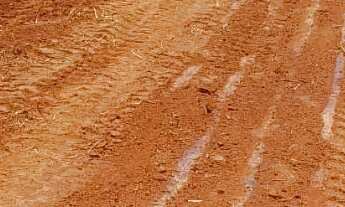 Imagem 6: Terreno em excelente localização!