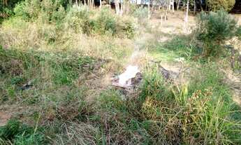 Imagem 3: Terreno de posse 264m2