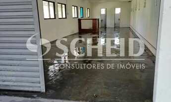 Imagem 7: Galpão com 250m2, 4 vagas e 4 salas em ótima localização na Vila Constança