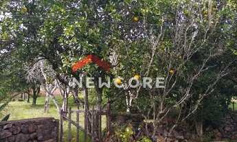 Imagem 6: Sítio em Linha Caraha - linha carahá - Gramado/RS