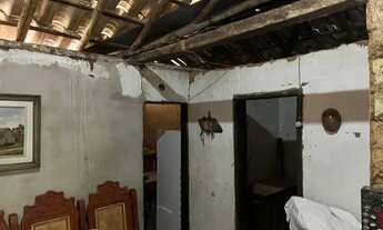 Imagem 3: Excelente terreno rural de 9,5 hectares, com casa, lagoa, pomar produzindo e curral